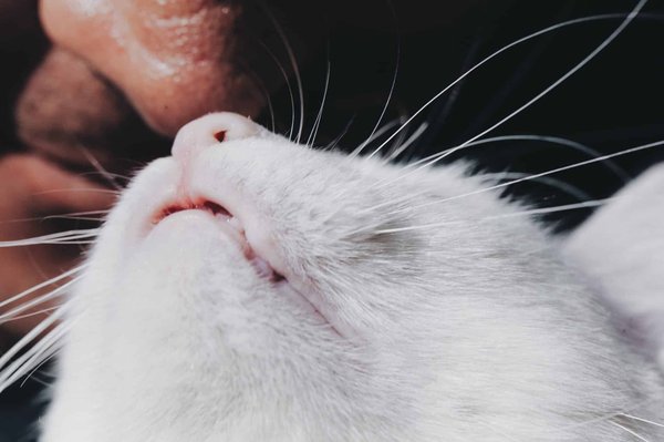 La révolution digitale des ressources humaines : MypeopleDoc repense la gestion du capital humain